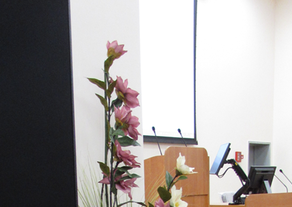 Мультимедийная система для актового зала минской Детской инфекционной больницы