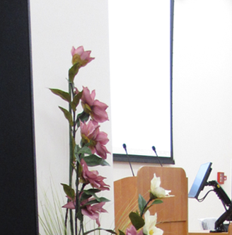 Мультимедийная система для актового зала минской Детской инфекционной больницы